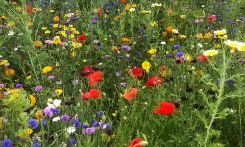 Persoonlijk cadeau voor een tuinliefhebber