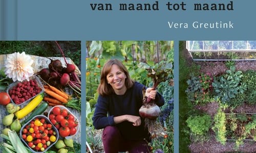 Vera's moestuin – Vera Greutink
