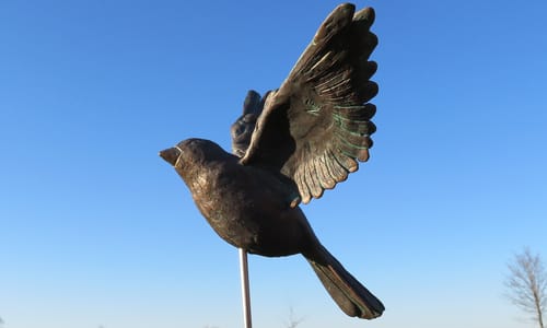 Flierefluiter - Neolith tuinscultupteer vogel (Door Natasja van den Eng)