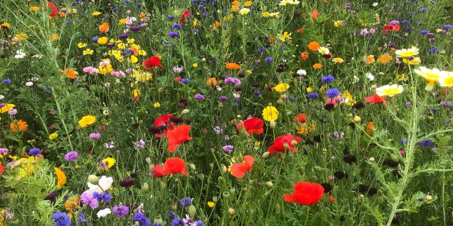 Persoonlijk cadeau voor een tuinliefhebber