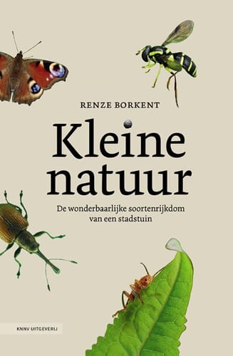 Kleine natuur – Renze Borkent
