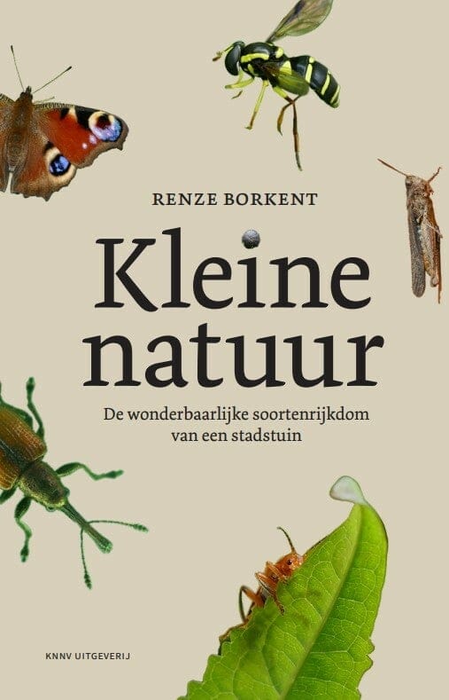 Kleine natuur (Renze Borkent) boek