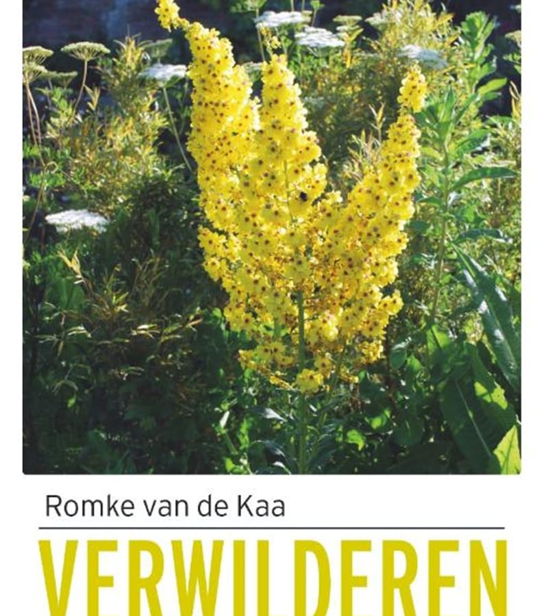 Verwilderen (Romke van de Kaa) boek