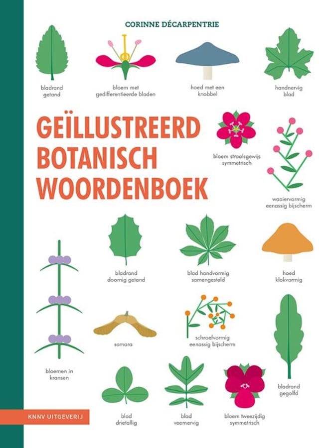 Geïllustreerd botanisch woordenboek (Corinne Décarpentrie) boek