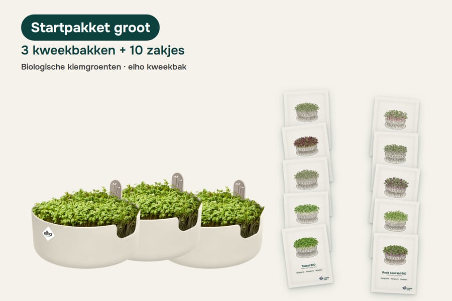Kiemgroenten startpakket groot (3 kweekbakken + 10 zakjes) 
