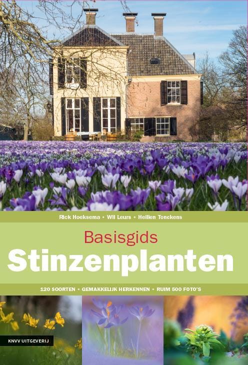 Basisgids stinzenplanten (Heilien Tonckens) boek