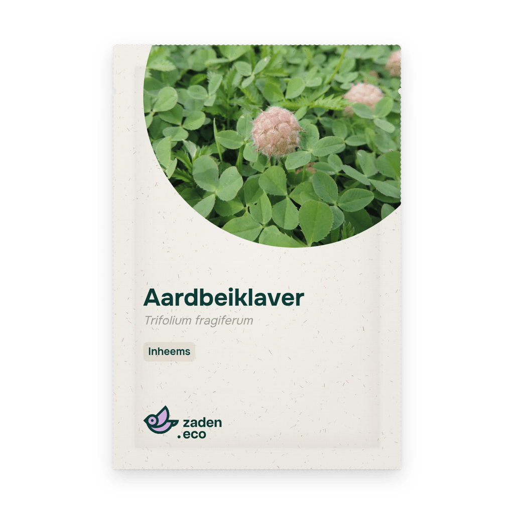 Zakje Aardbeiklaver