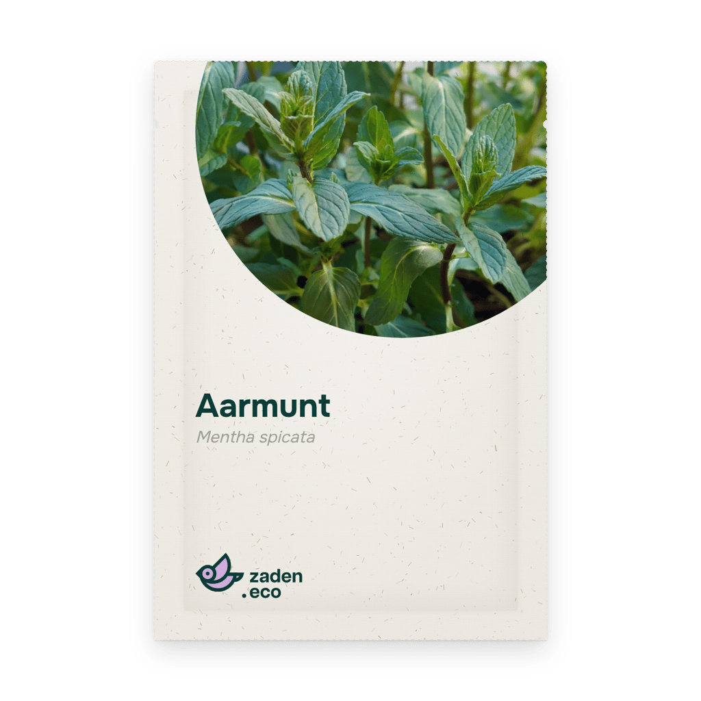 Zakje Aarmunt
