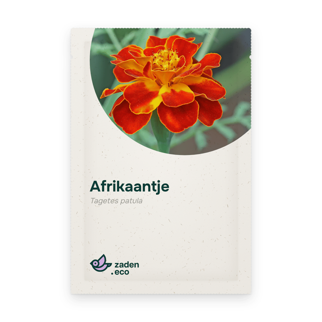 Zakje Afrikaantje