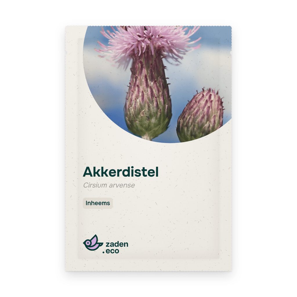 Zakje Akkerdistel