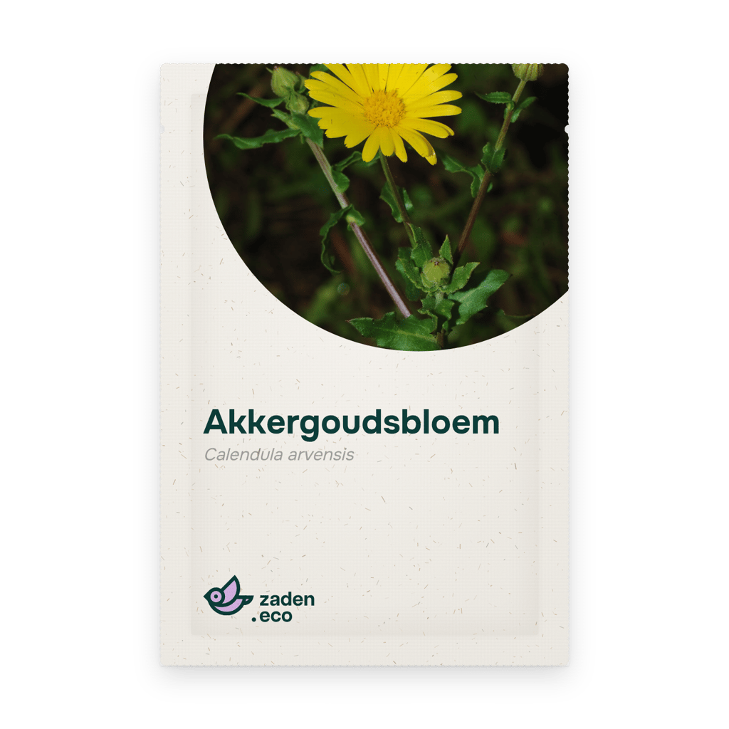 Zakje Akkergoudsbloem