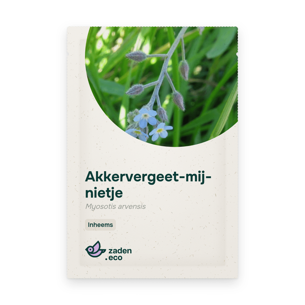 Zakje Akkervergeet-mij-nietje