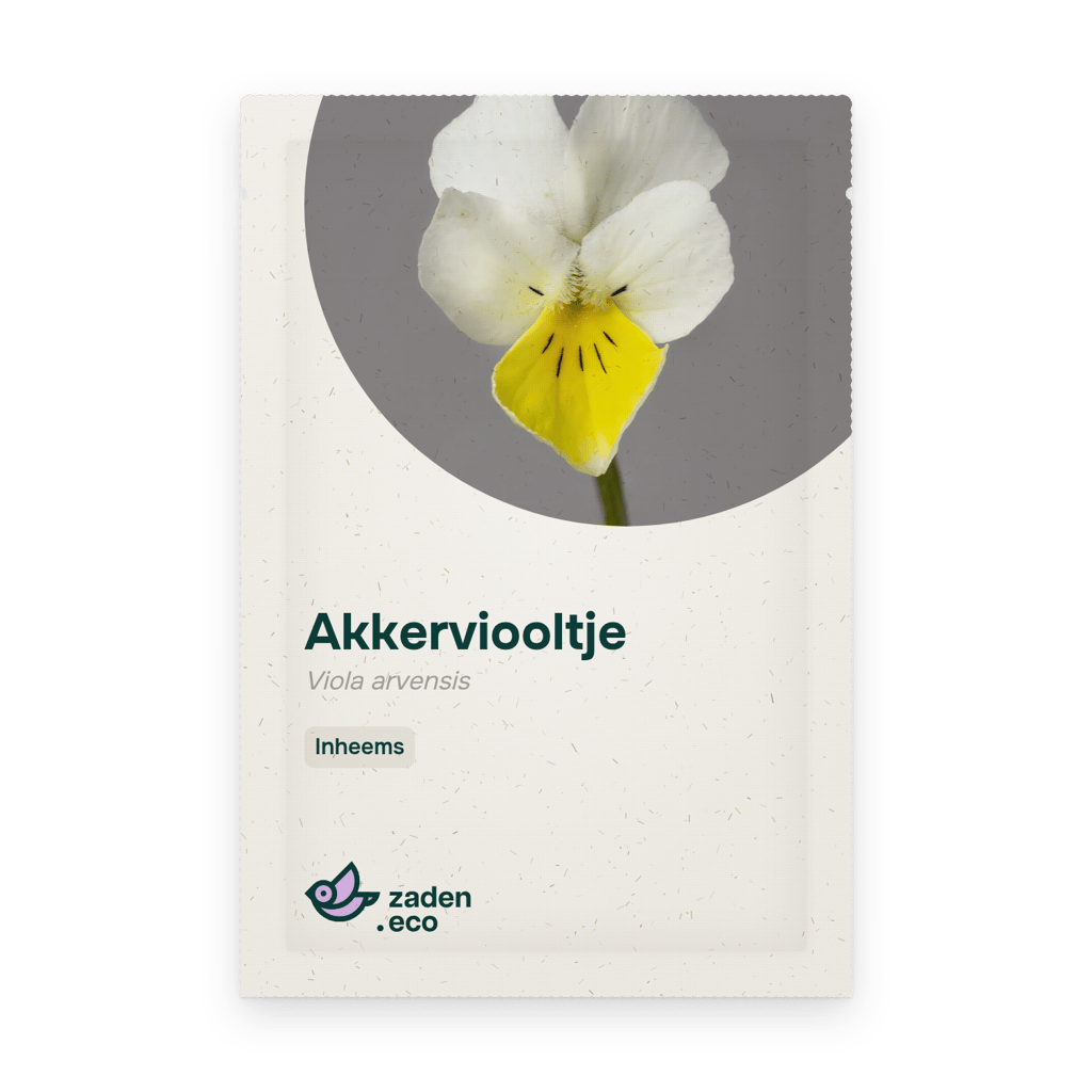 Zakje Akkerviooltje