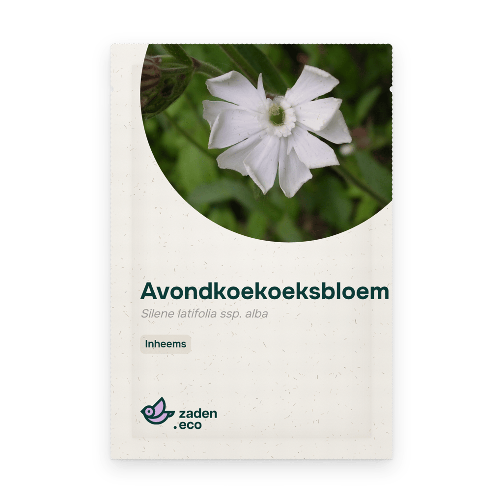 Zakje Avondkoekoeksbloem