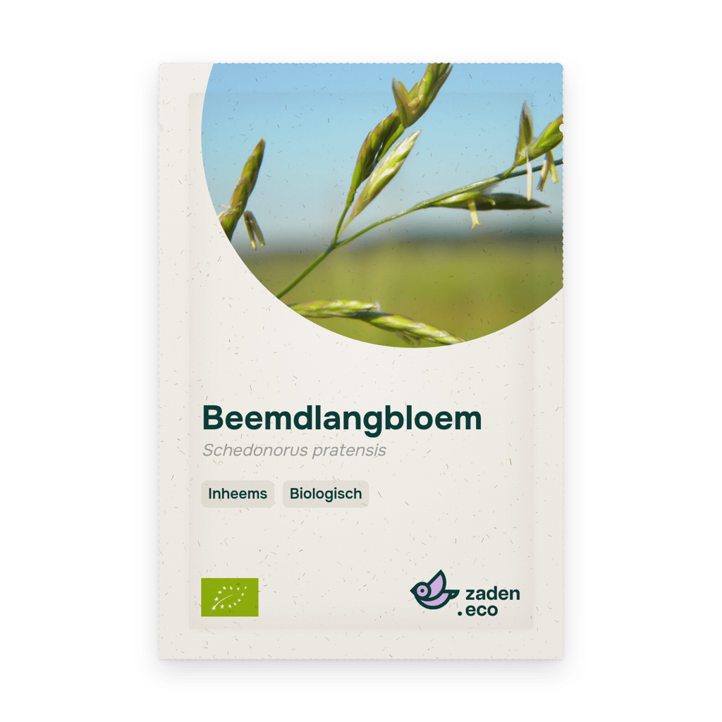 Zakje Beemdlangbloem BIO