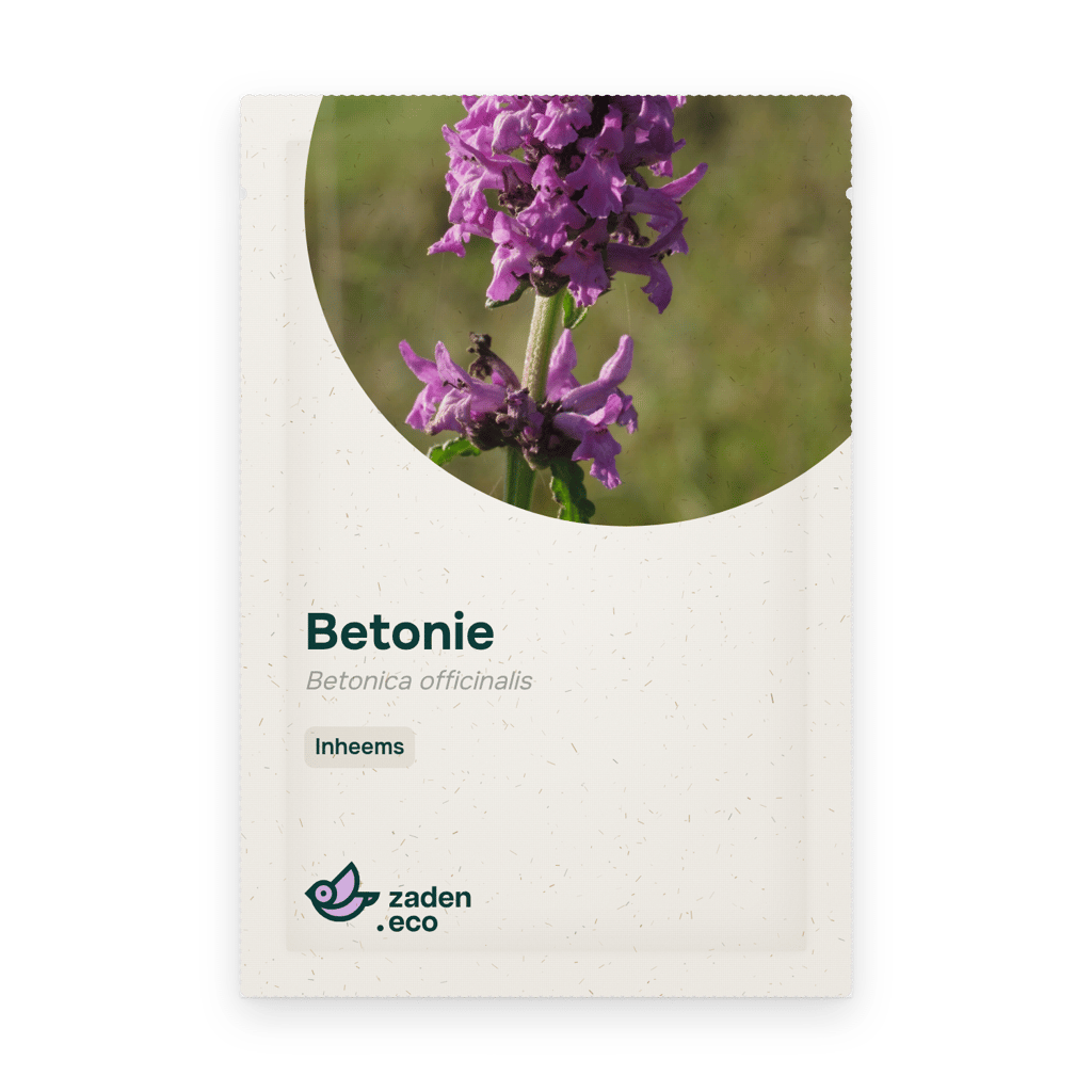 Zakje Betonie