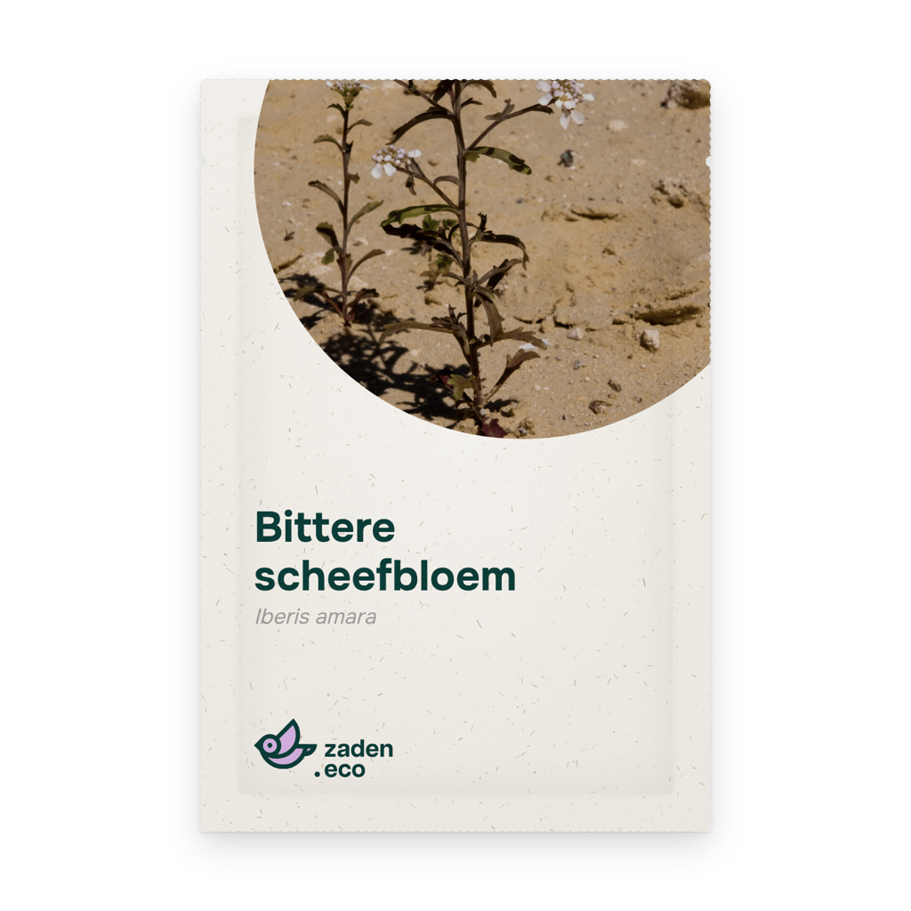 Zakje Bittere scheefbloem