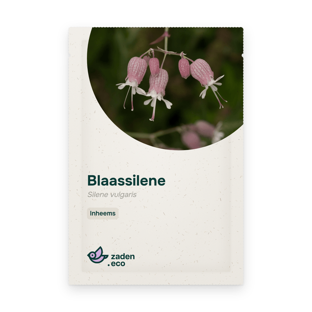 Zakje Blaassilene