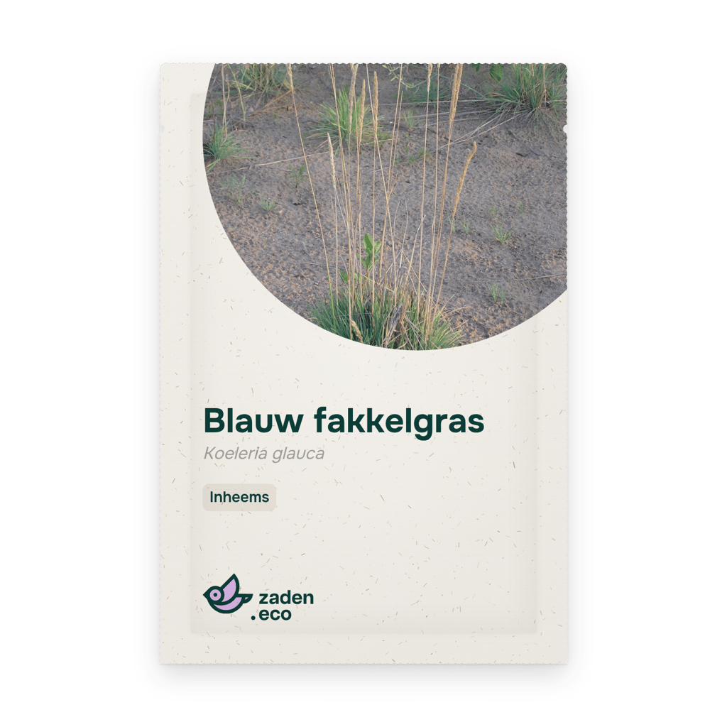 Zakje Blauw fakkelgras