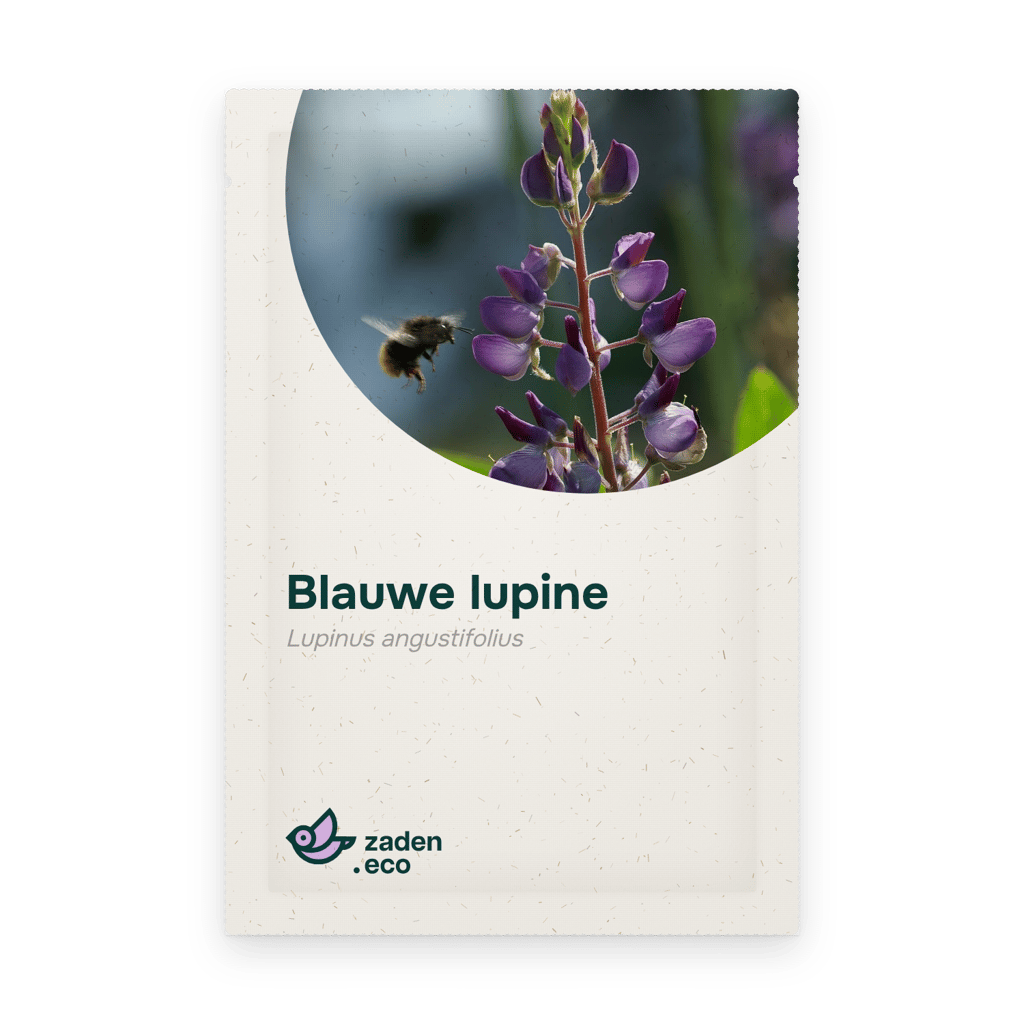 Zakje Blauwe lupine
