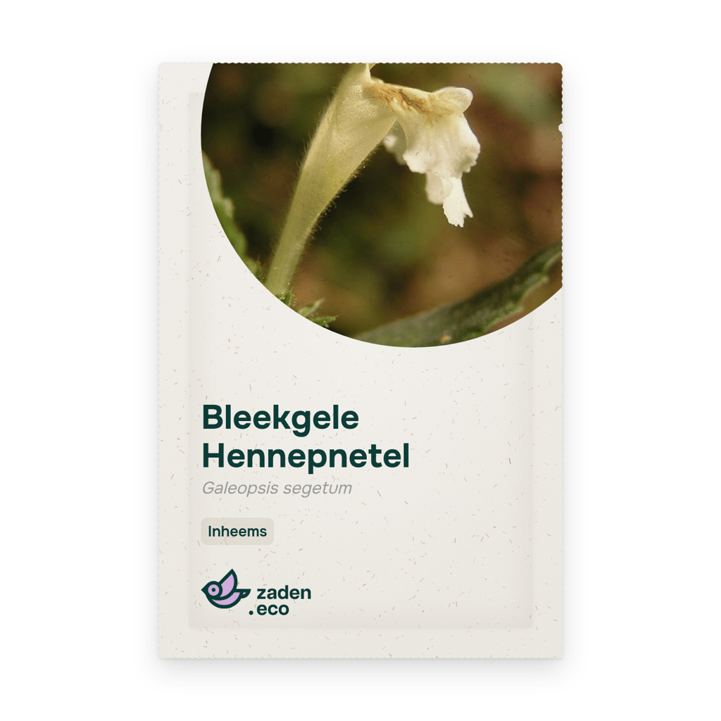 Zakje Bleekgele Hennepnetel
