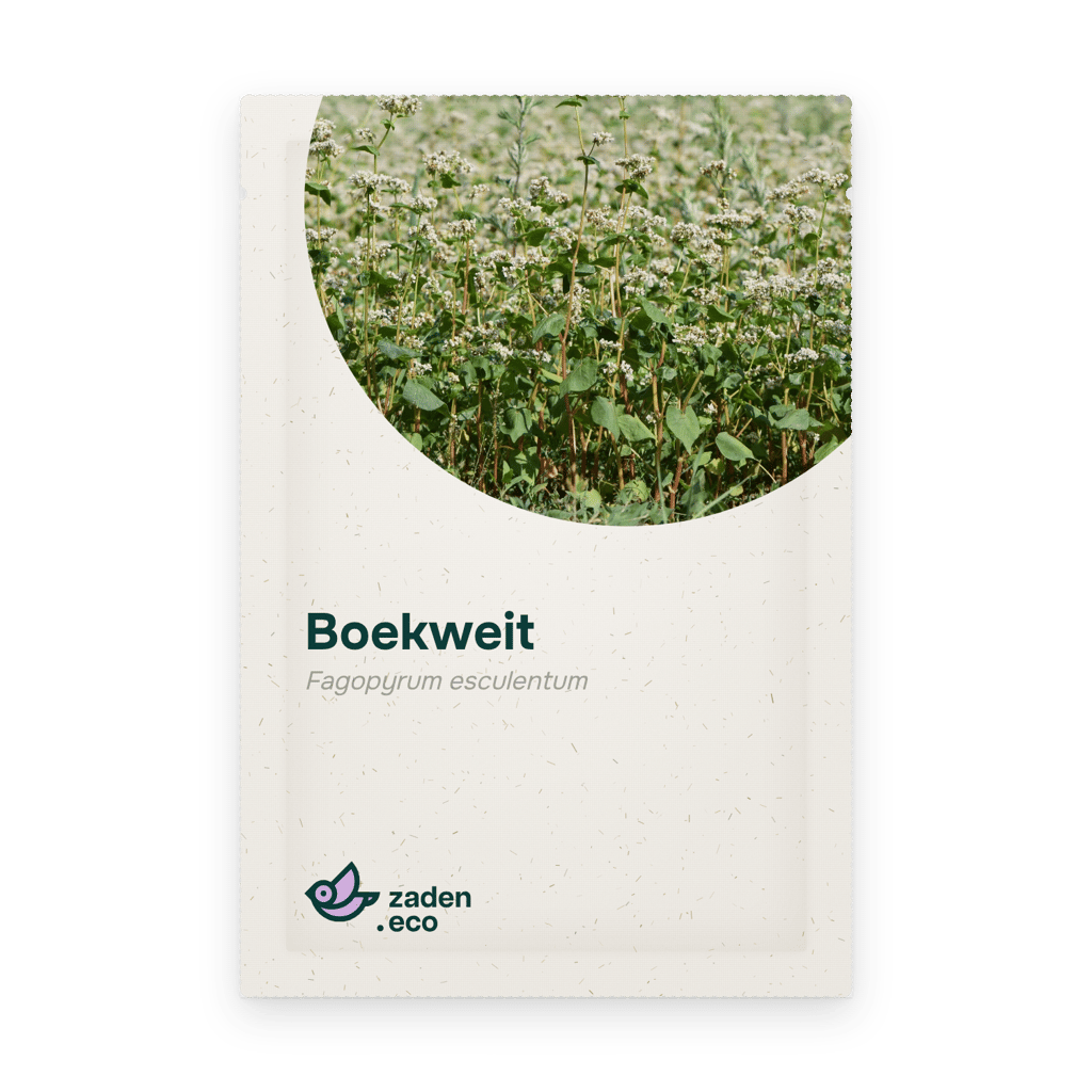 Zakje Boekweit