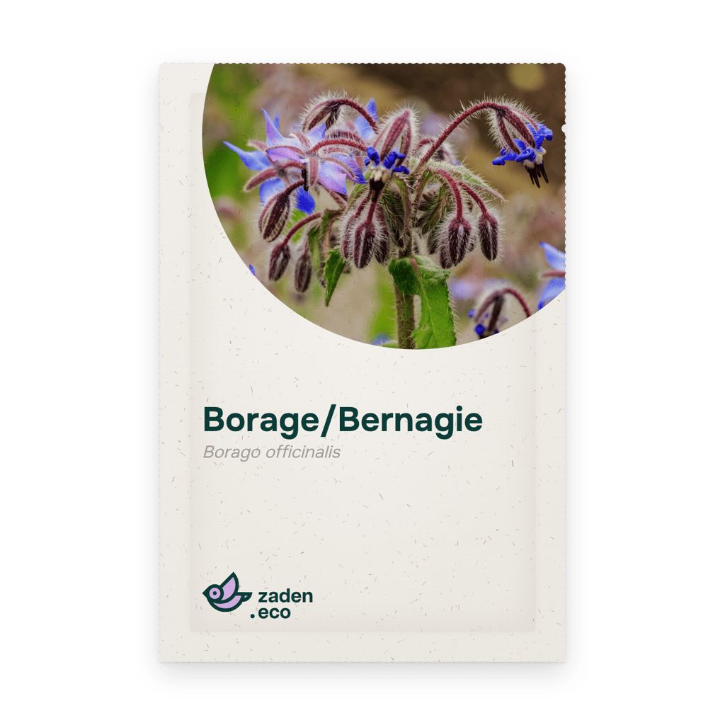 Zakje Borage/Bernagie