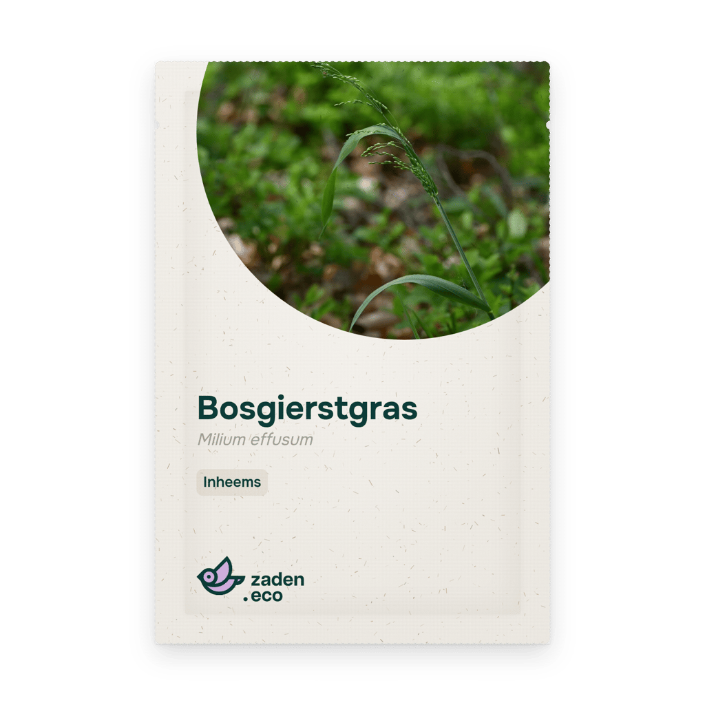 Zakje Bosgierstgras