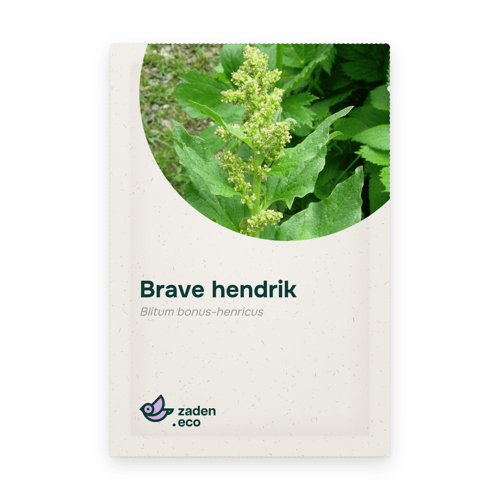 Zakje Brave hendrik