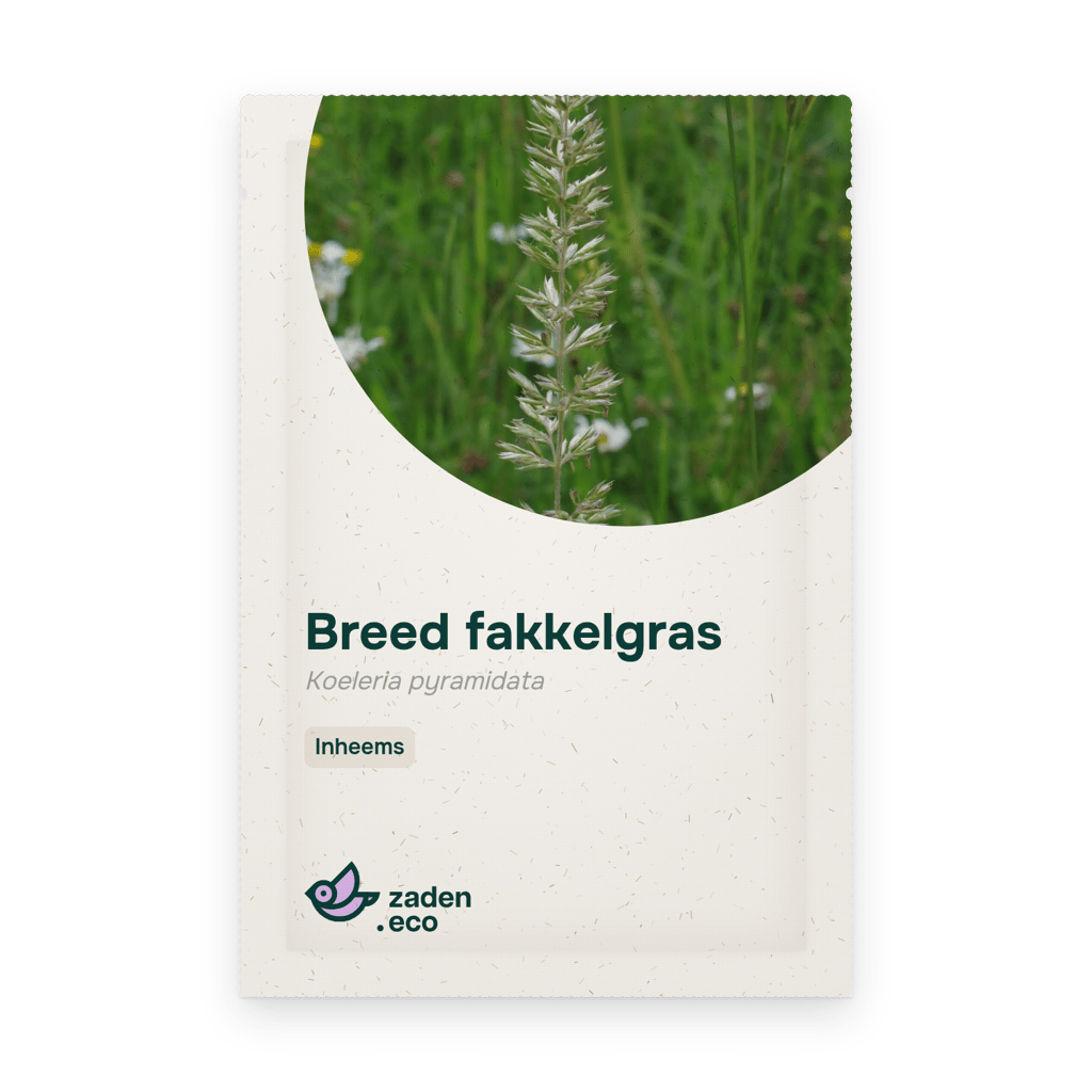 Zakje Breed fakkelgras