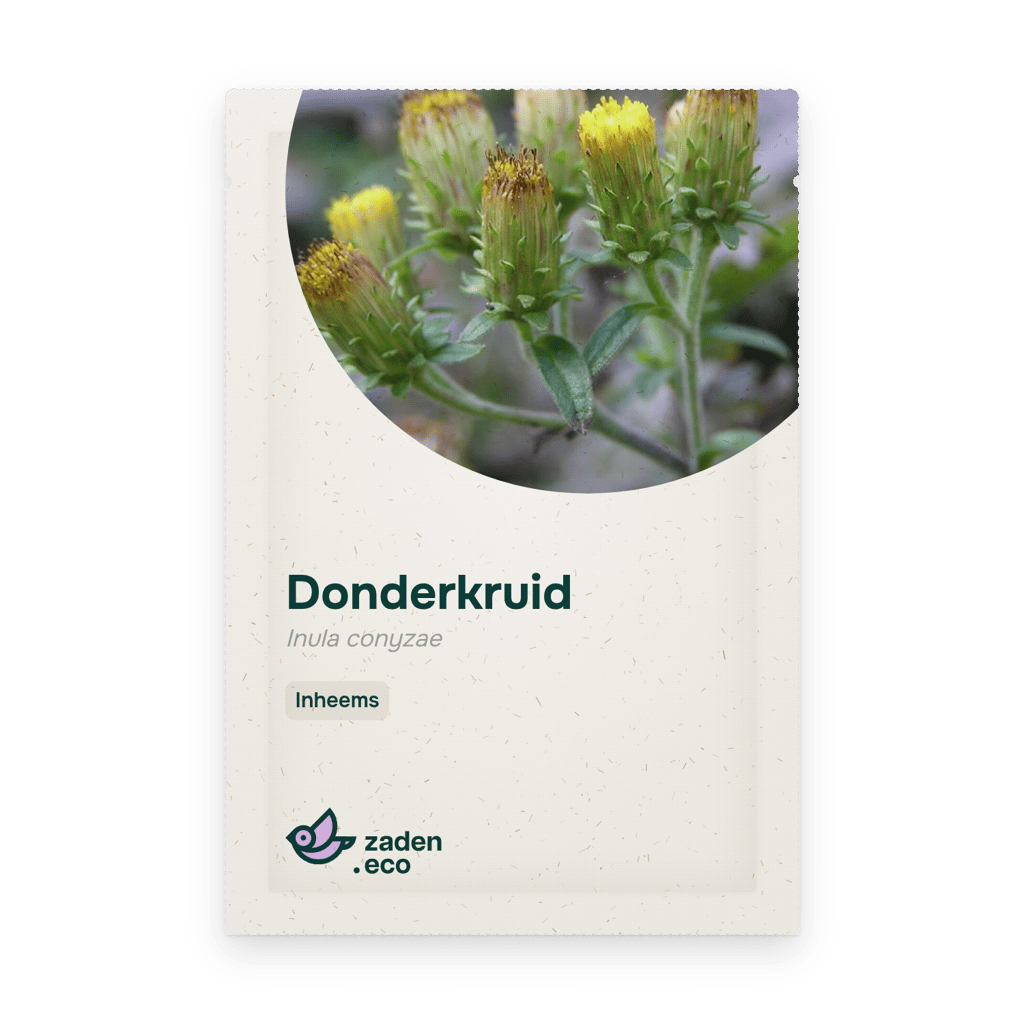 Zakje Donderkruid