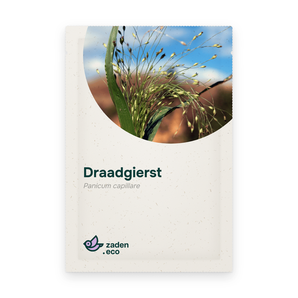 Zakje Draadgierst