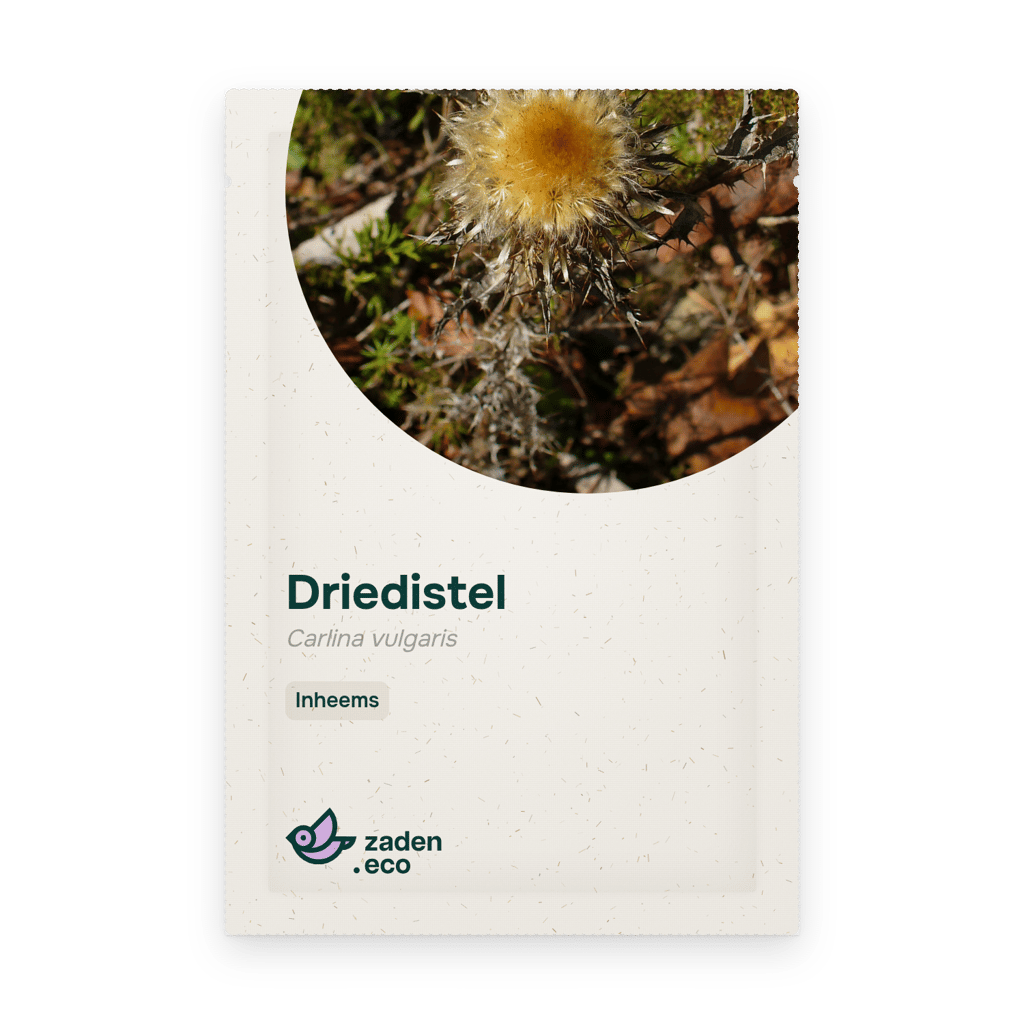 Zakje Driedistel