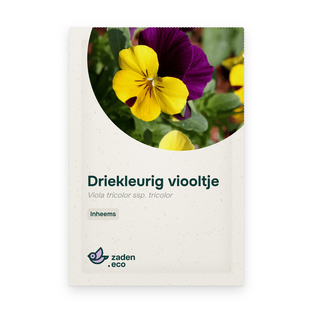 Zakje Driekleurig viooltje