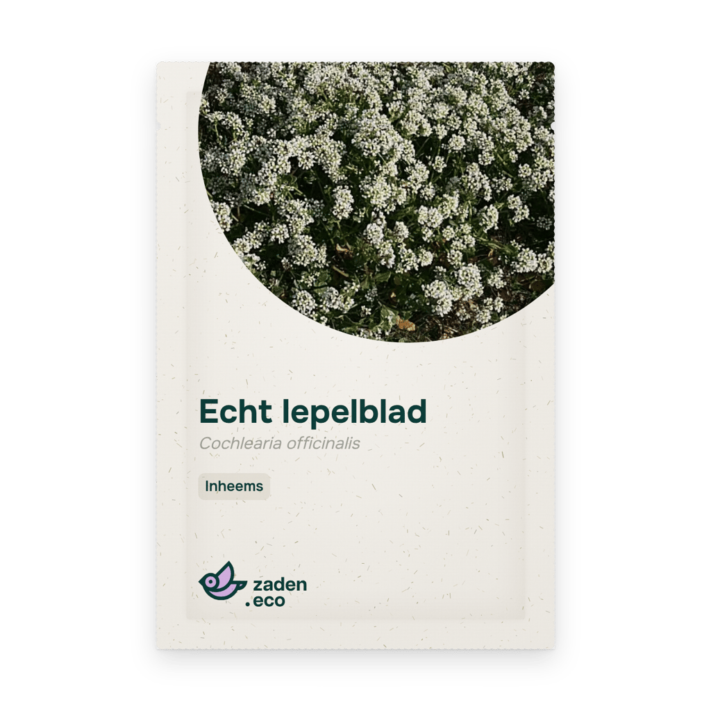 Zakje Echt lepelblad