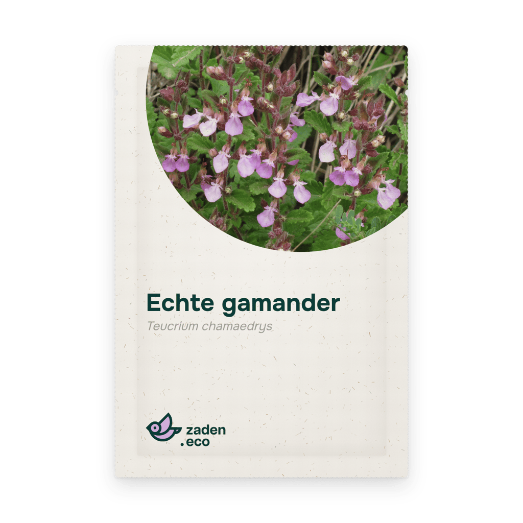 Zakje Echte gamander
