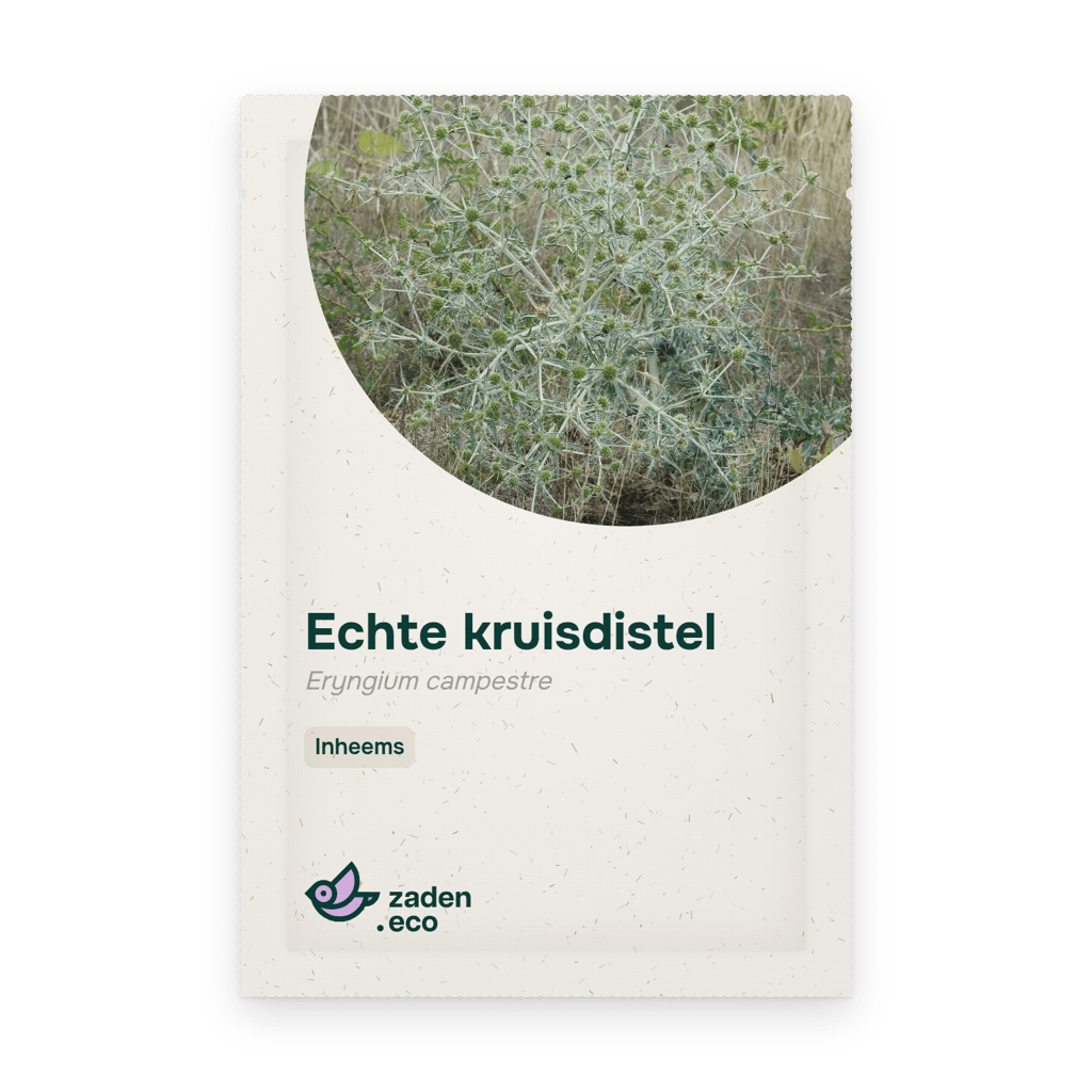 Zakje Echte kruisdistel