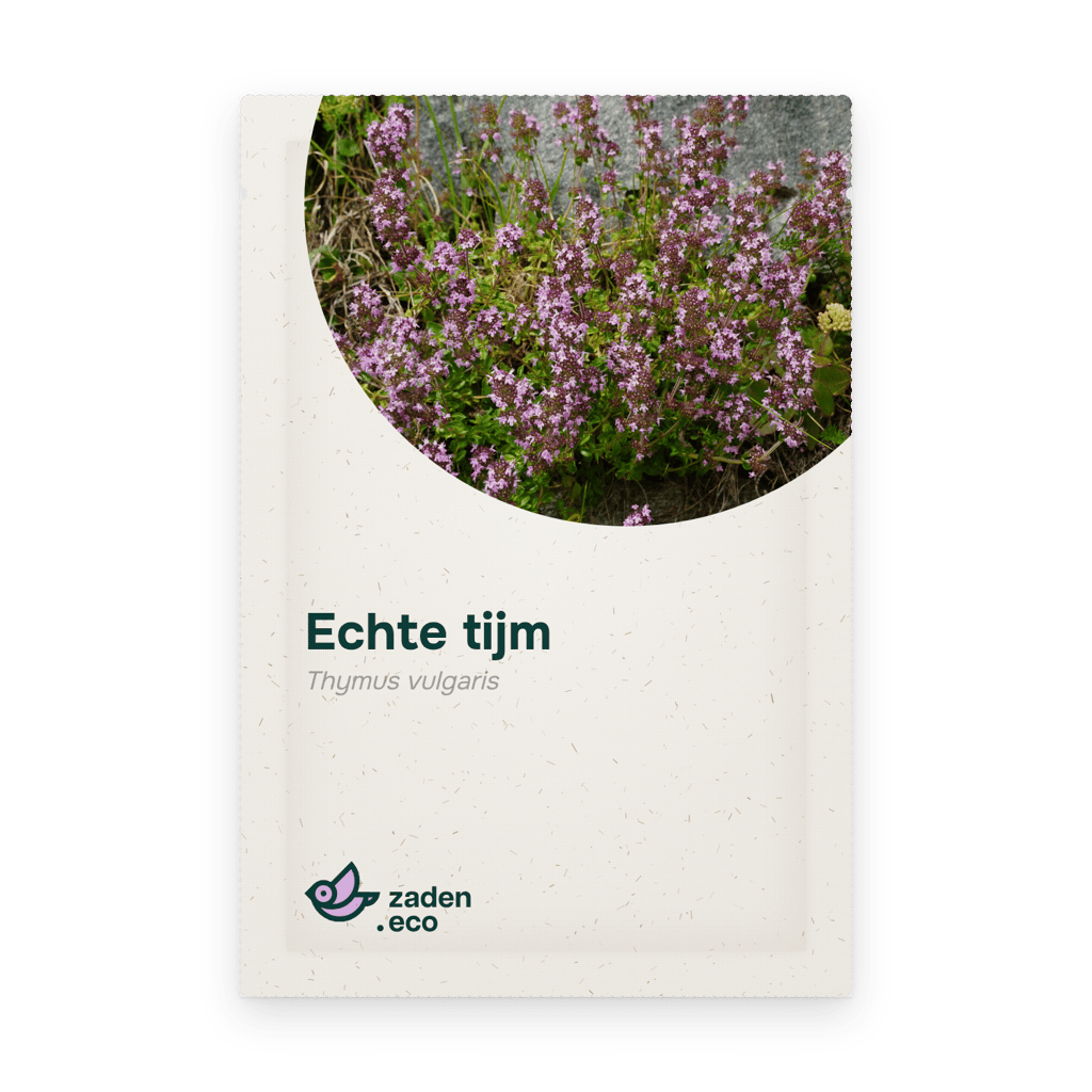 Zakje Echte tijm