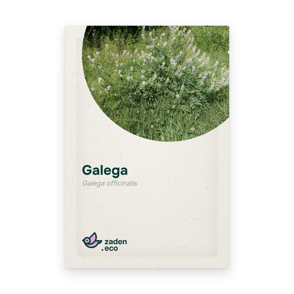 Zakje Galega