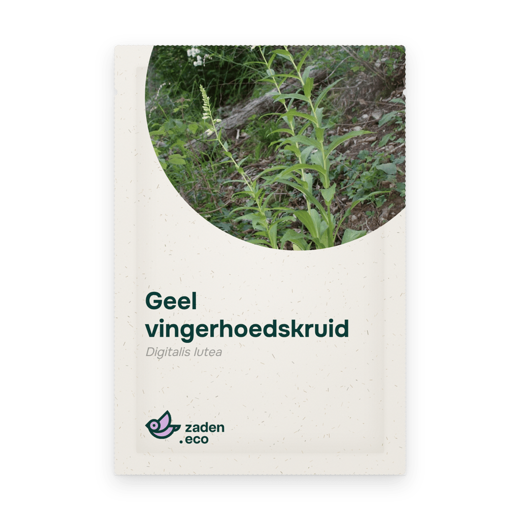 Zakje Geel vingerhoedskruid