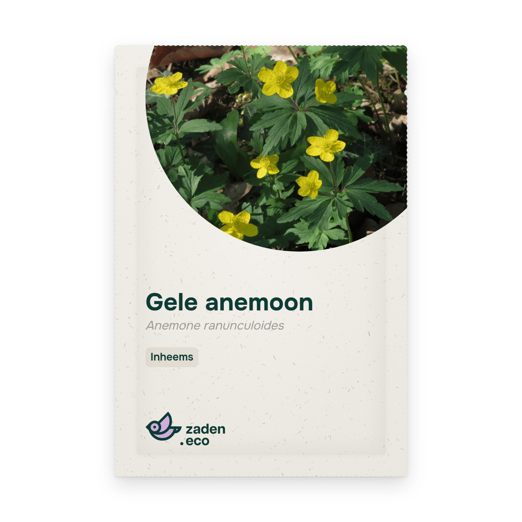 Zakje Gele anemoon