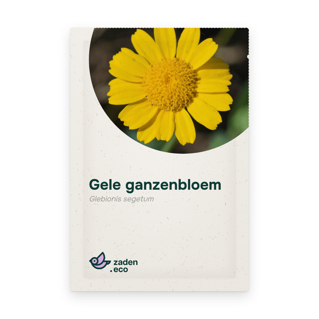 Zakje Gele ganzenbloem