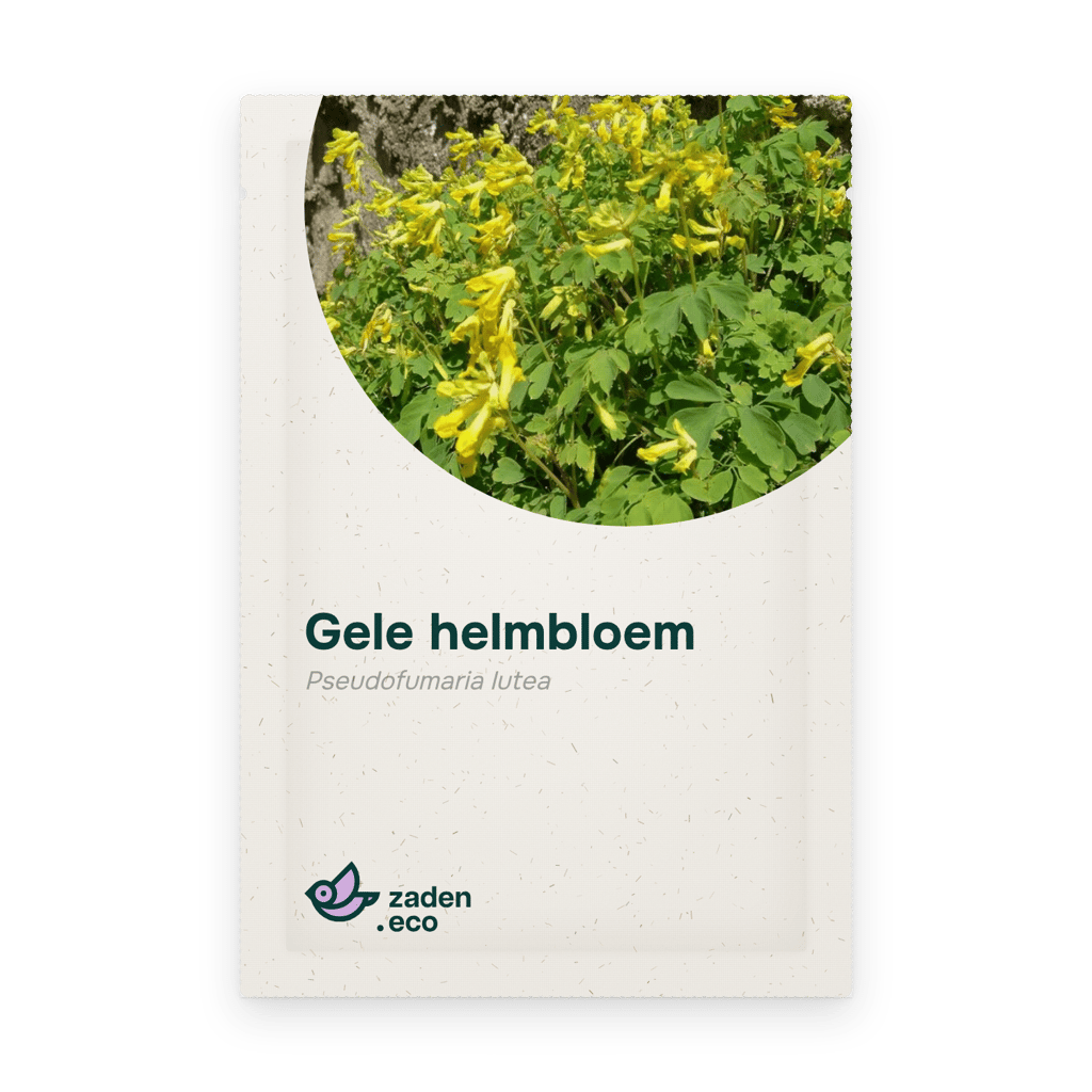 Zakje Gele helmbloem