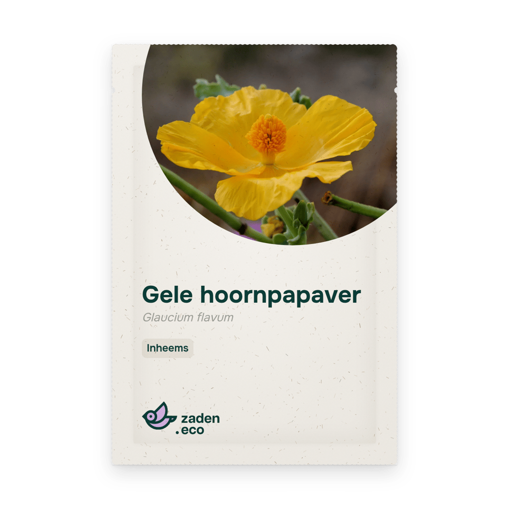 Zakje Gele hoornpapaver