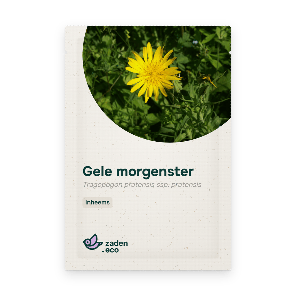 Zakje Gele morgenster