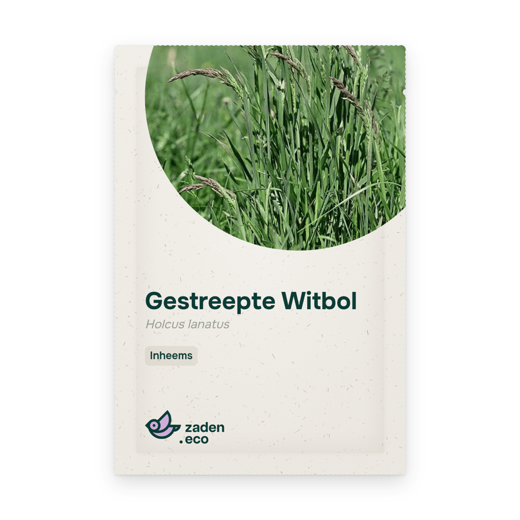 Zakje Gestreepte Witbol