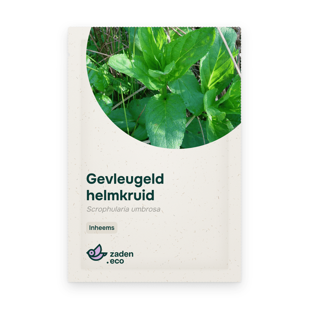 Zakje Gevleugeld helmkruid