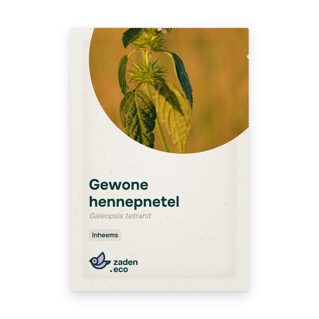 Zakje Gewone hennepnetel