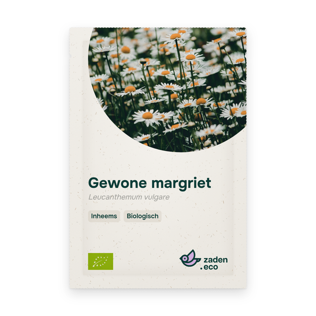 Zakje Gewone margriet BIO
