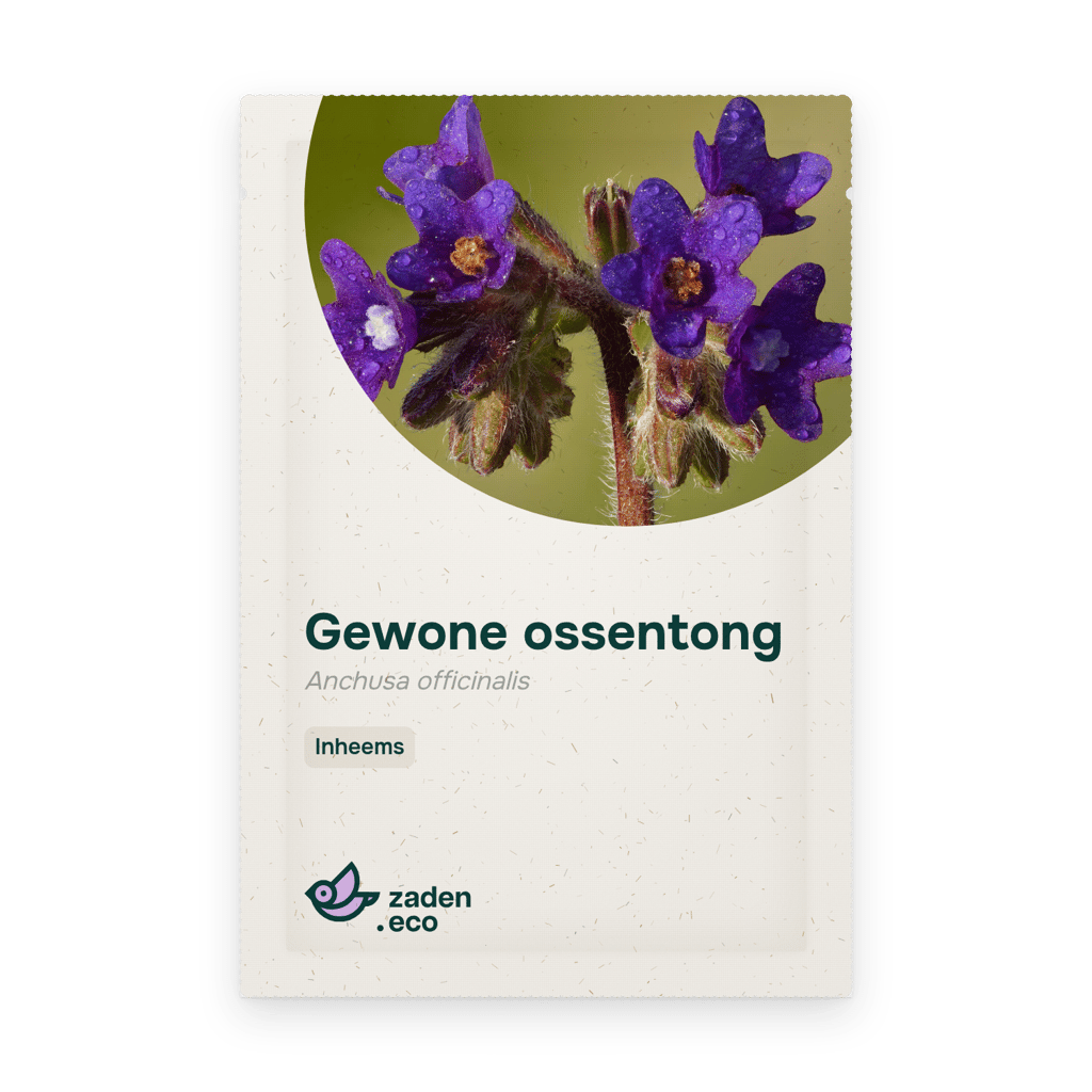 Zakje Gewone ossentong
